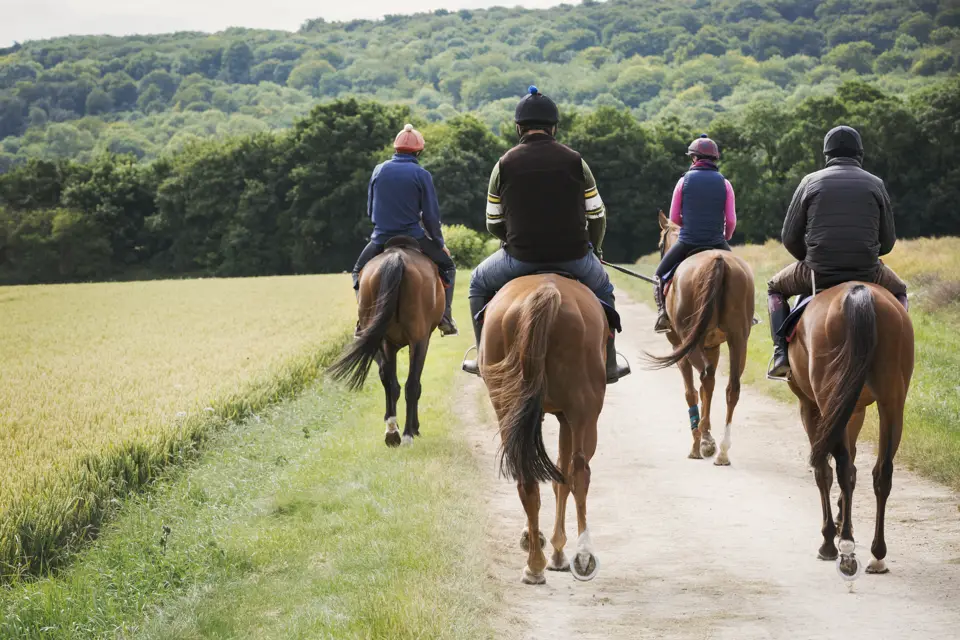 Riders on horseback on a country trail, seen from behind
